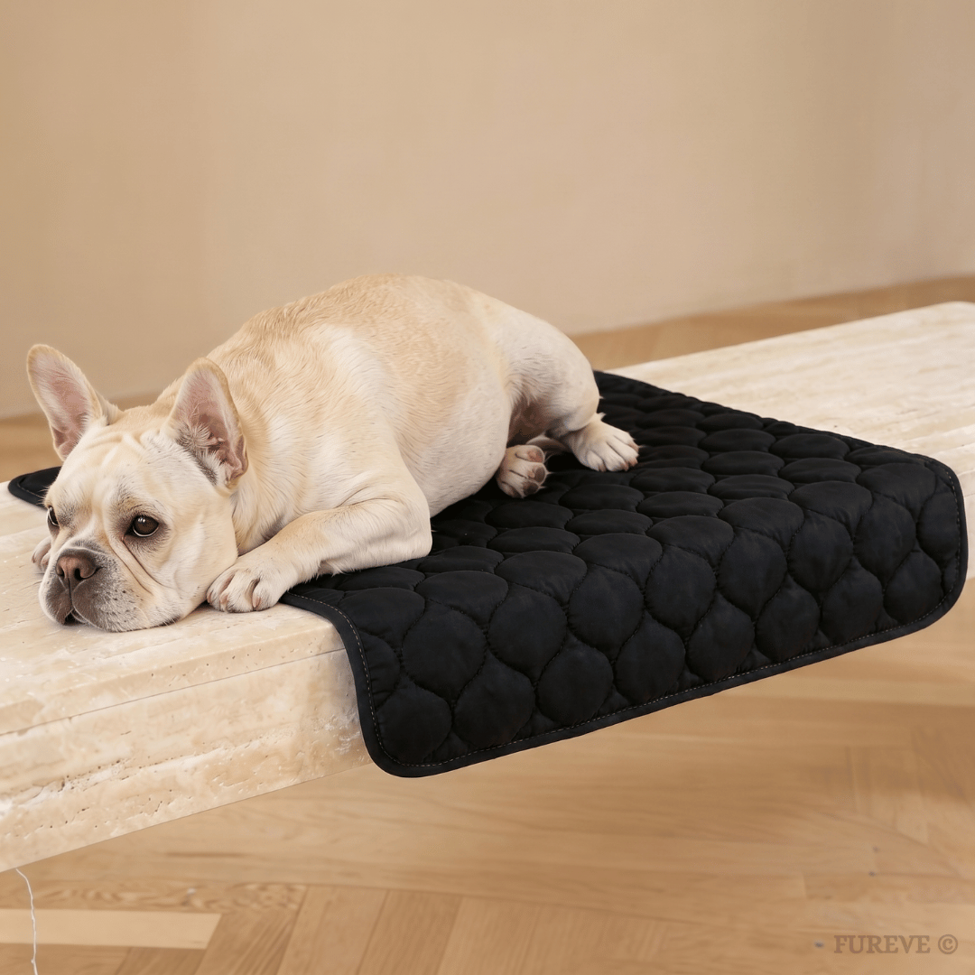 Fureve® Washable Pee Pad