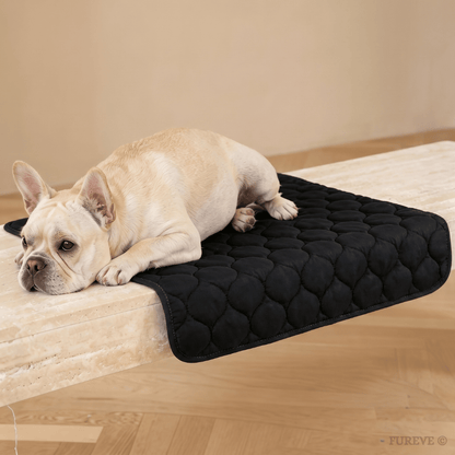 Fureve® Washable Pee Pad
