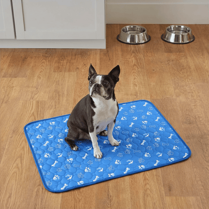Fureve® Washable Pee Pad