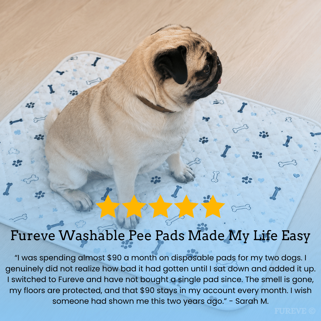 Fureve® Washable Pee Pad