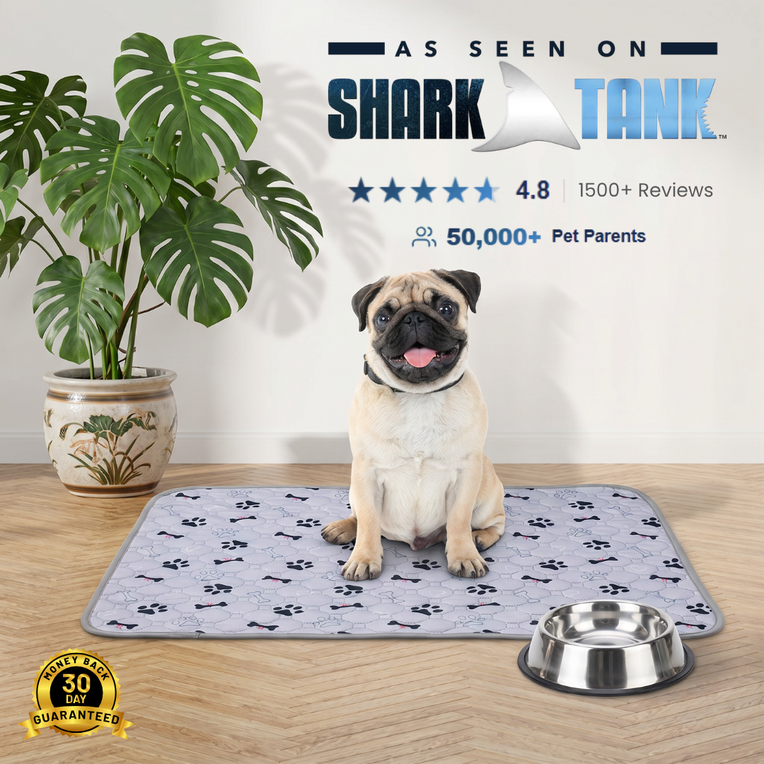 Fureve® Washable Pee Pad