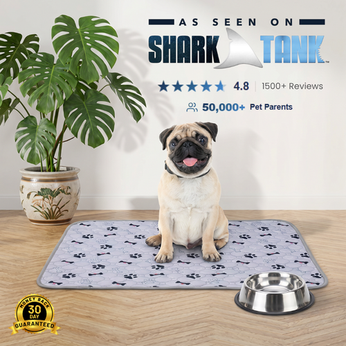Fureve® Washable Pee Pad