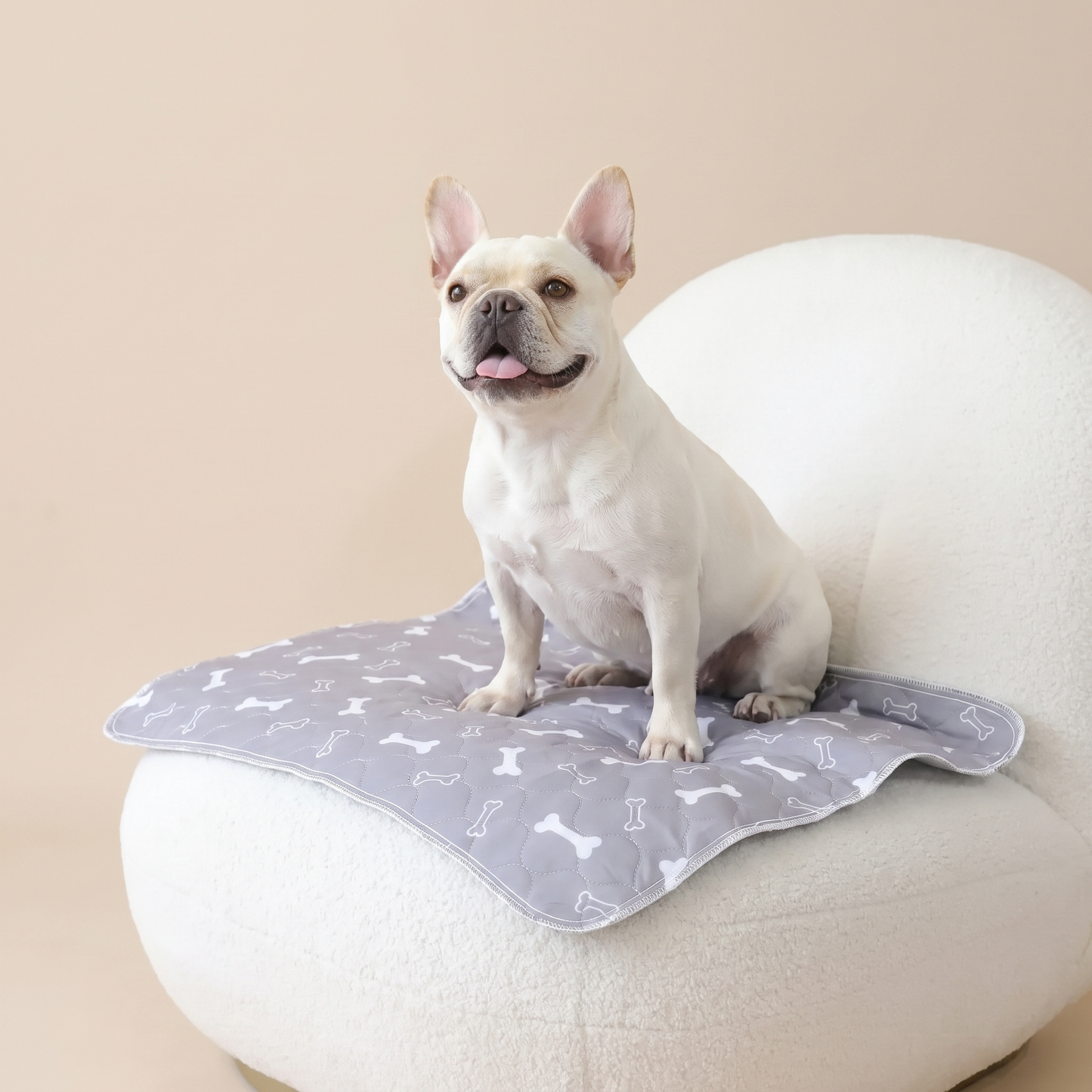 Fureve® Washable Pee Pad