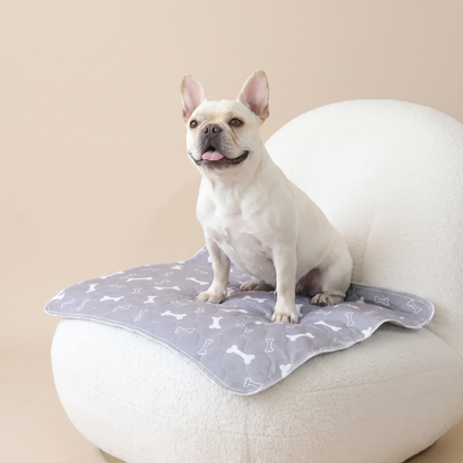 Fureve® Washable Pee Pad